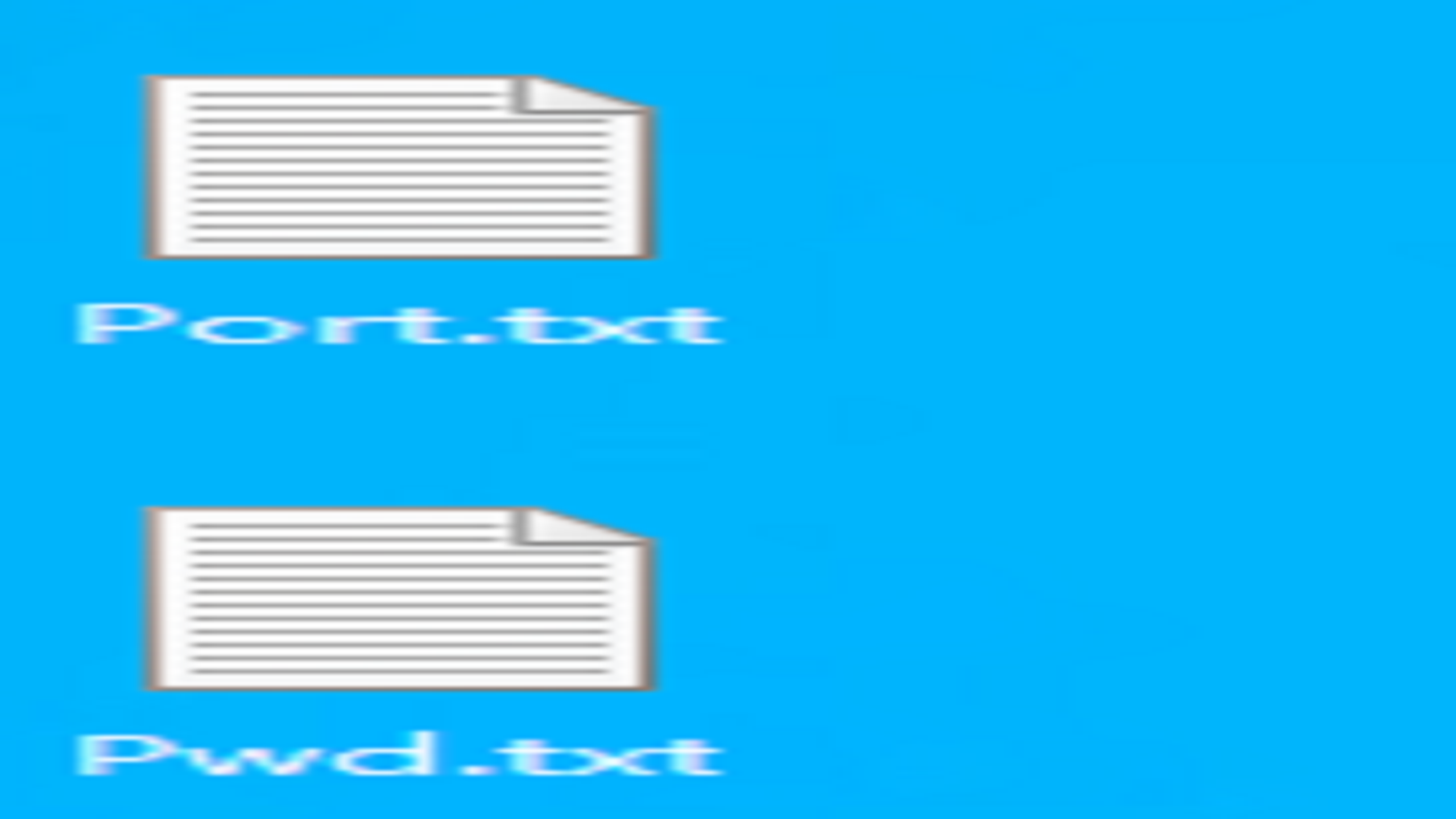 Port.txt 与 Pwd.txt 配置文件